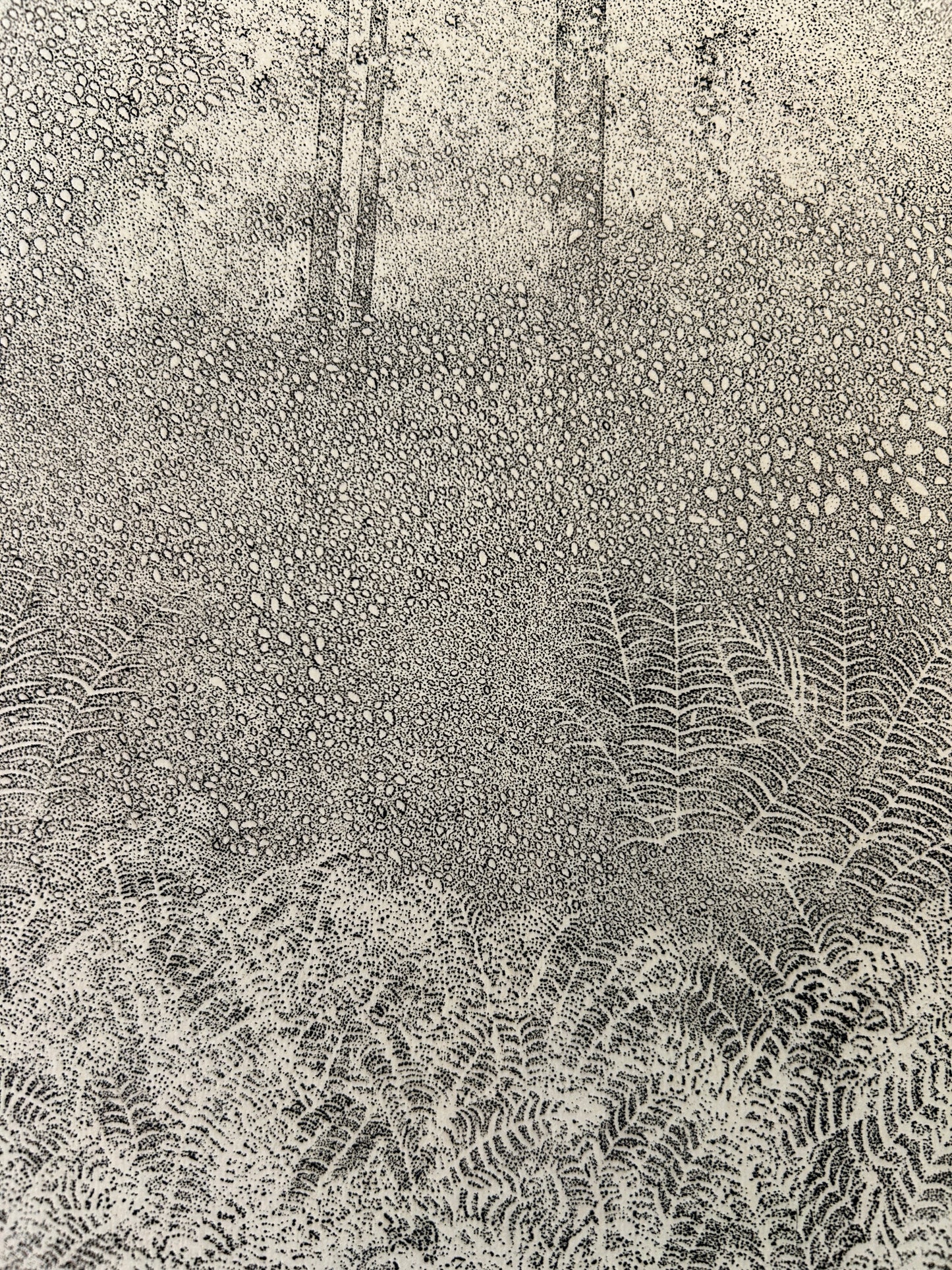 Richard Claude Ziemann 'Ferns' Limited Edition, Signed Etching
