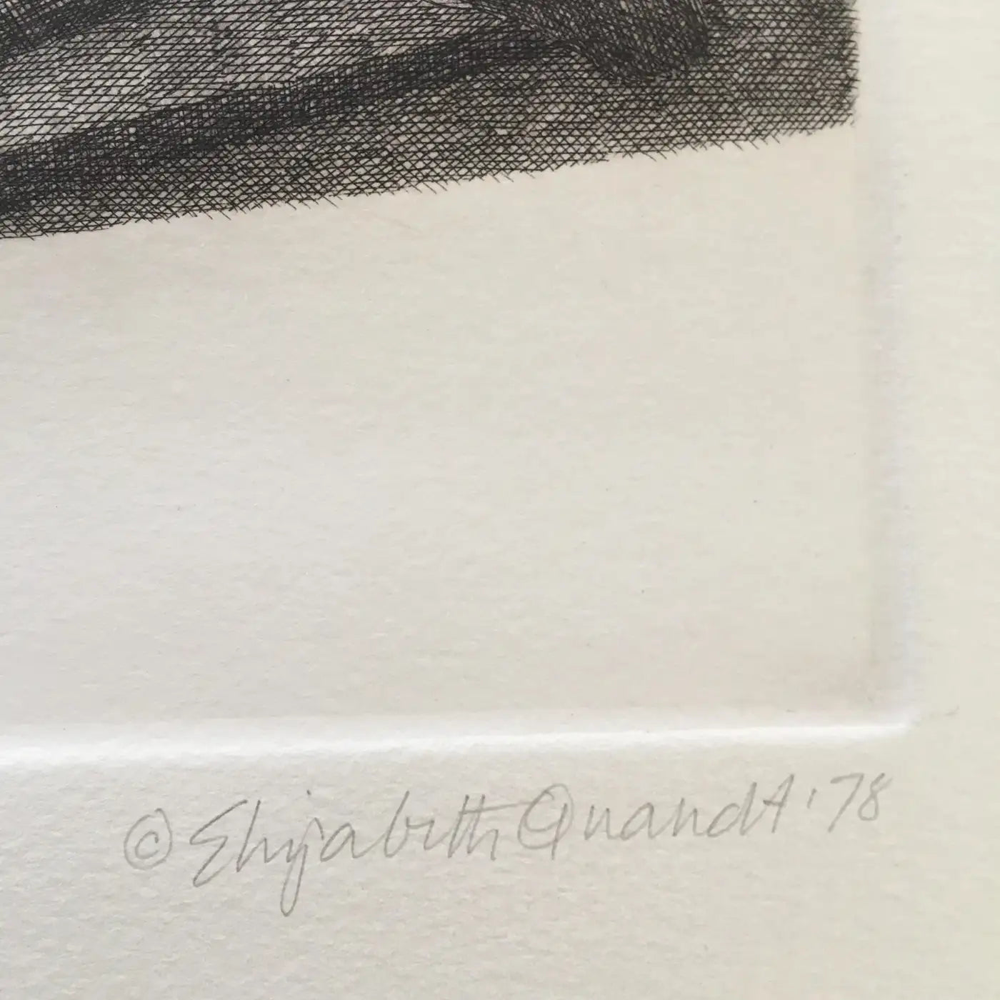 Elizabeth Quandt 'Aries II' Limited Edition, Signed Etching of Ram's Head