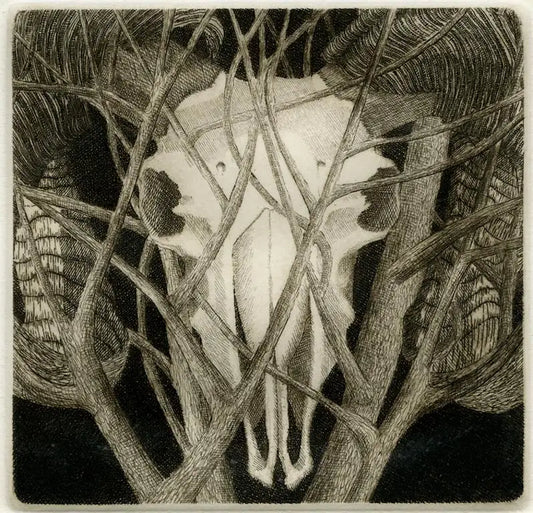 Elizabeth Quandt 'Aries IV' Limited Edition, Signed Etching of Ram's Head