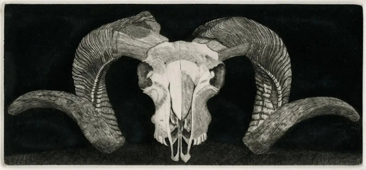 Elizabeth Quandt 'Aries I' Limited Edition, Signed Etching of Ram's Head