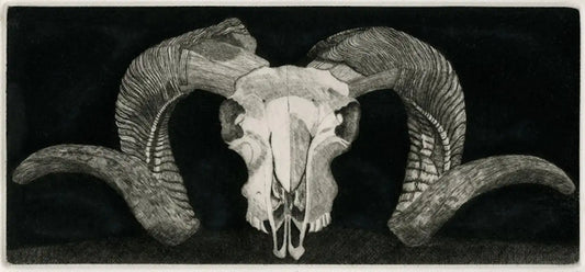 Elizabeth Quandt 'Aries I' Limited Edition, Signed Etching of Ram's Head