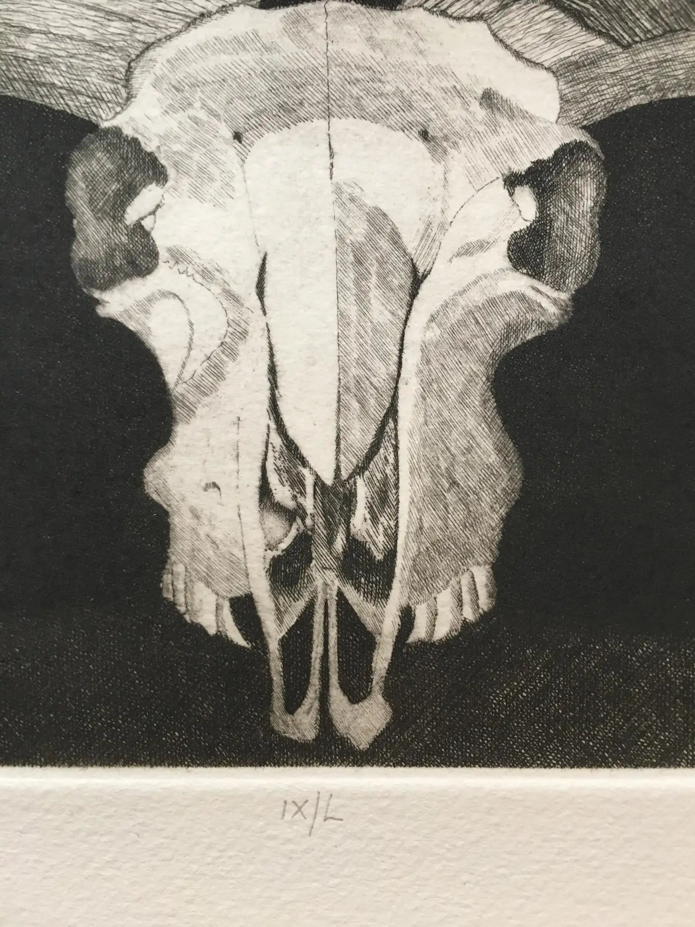 Elizabeth Quandt 'Aries I' Limited Edition, Signed Etching of Ram's Head