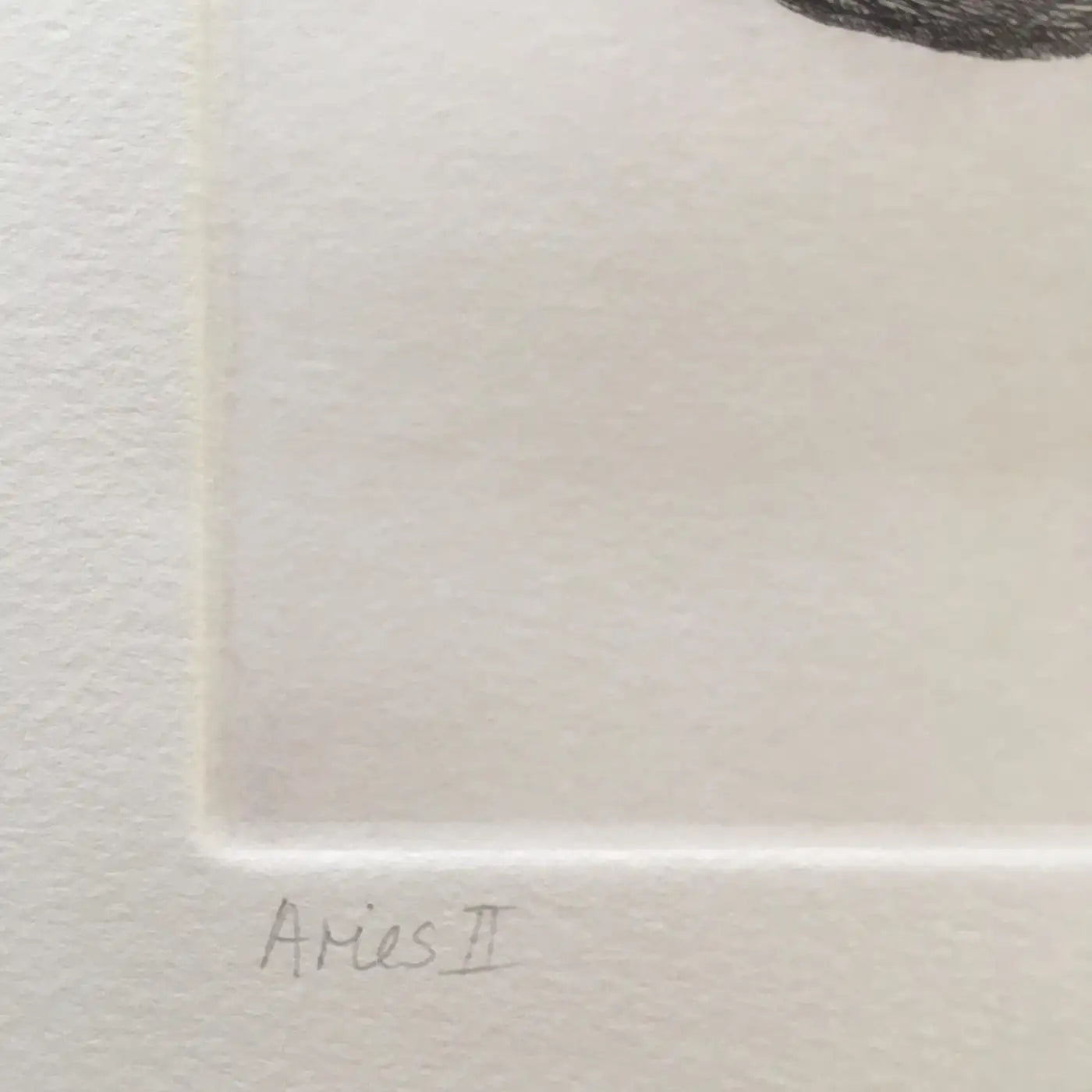 Elizabeth Quandt 'Aries II' Limited Edition, Signed Etching of Ram's Head