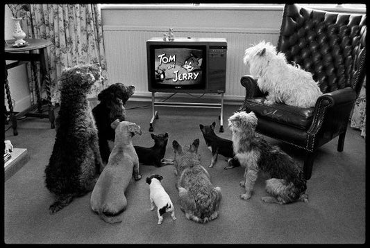 Arthur Steel: Captivated Audience-The Darkroom Society