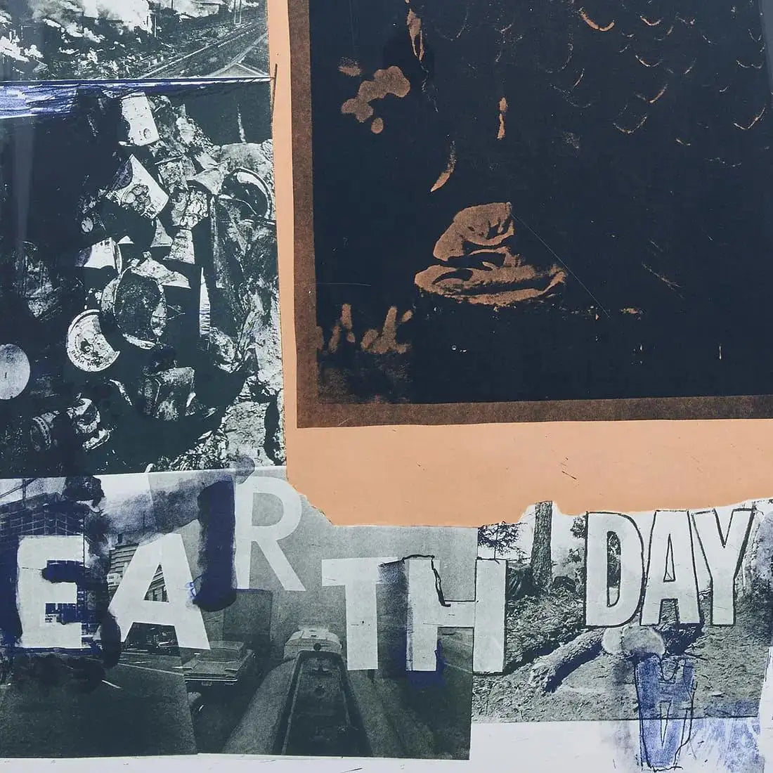 Robert Rauschenberg 'Earth Day' Limited Edition, Signed Lithograph Print